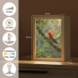 Ara - Jungle - Rood Light Box met kabel (Kinderlampje) klein -USP_NL