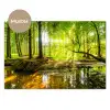 Bos - Landschap - Water - Bomen - Zon - Groen - Natuur keuken achterwand sample klein -3d_DE