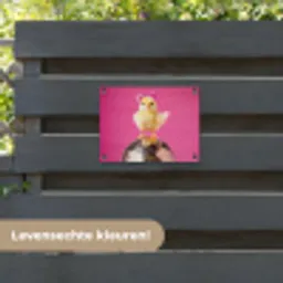 Discobal - Kuiken - Strik tuinposter los doek klein -sfeer3