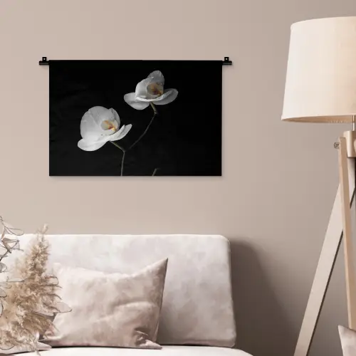 Orchidee - Bloemen - Zwart - Wit - Stilleven Wandkleed katoen klein -sfeer4