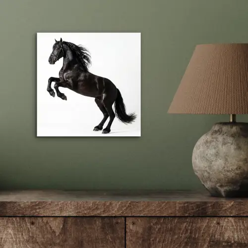 Zwart - Paard - Portret aluminium wit klein -sfeer2