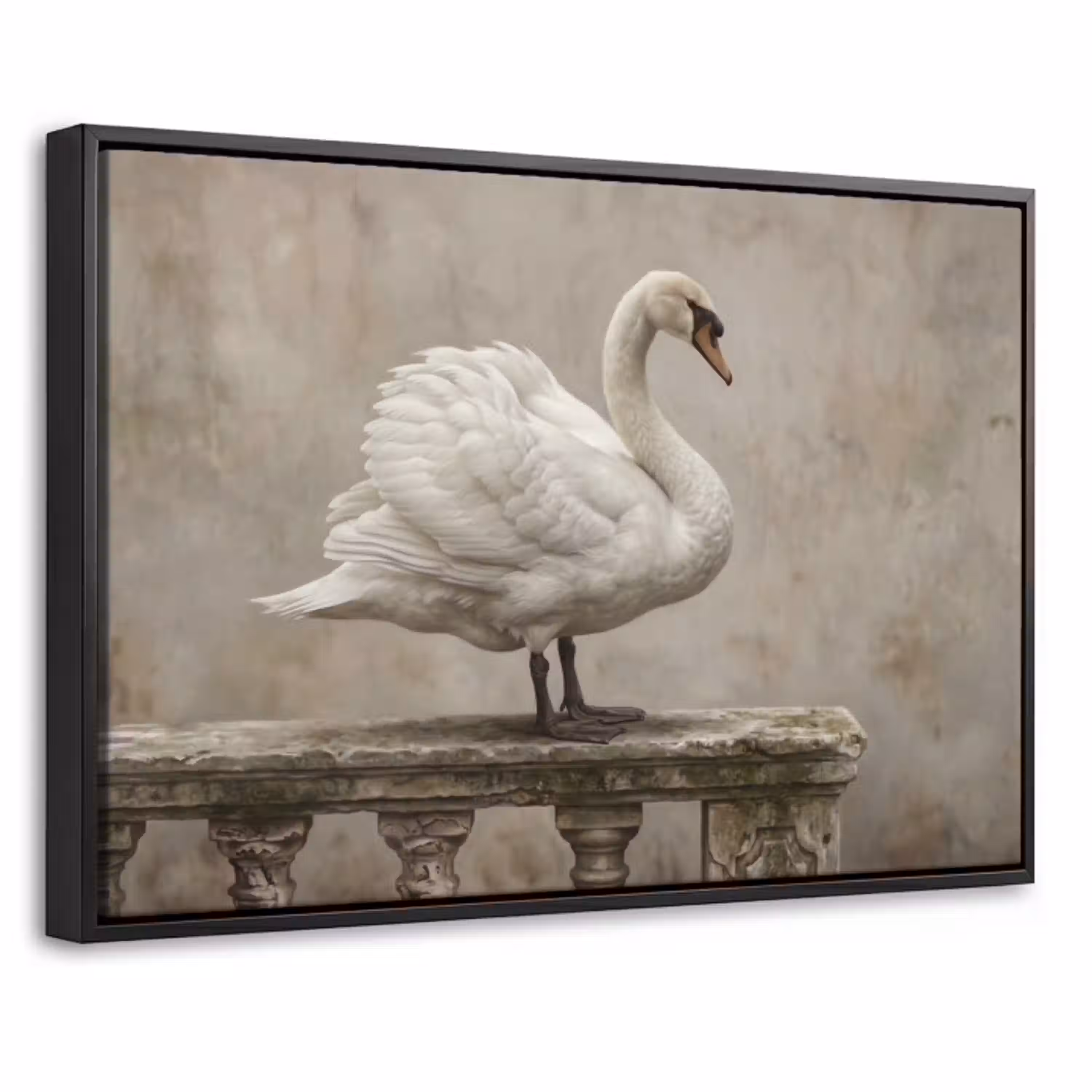 Zwaan - Elegant - Dieren - Wit Canvas met baklijst klein -threedimensional_3d_global