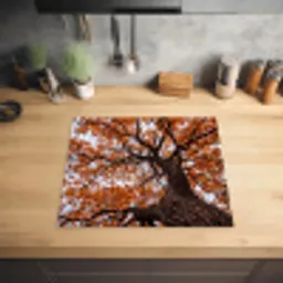 Boom - Bladerdak - Herfst - Oranje - Sfeervol Inductie beschermer vinyl 3mm middel -sfeer5