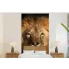 Leeuw - Dieren - Zwart - Licht - Bruin - Portret fotobehang vinyl groot -bed