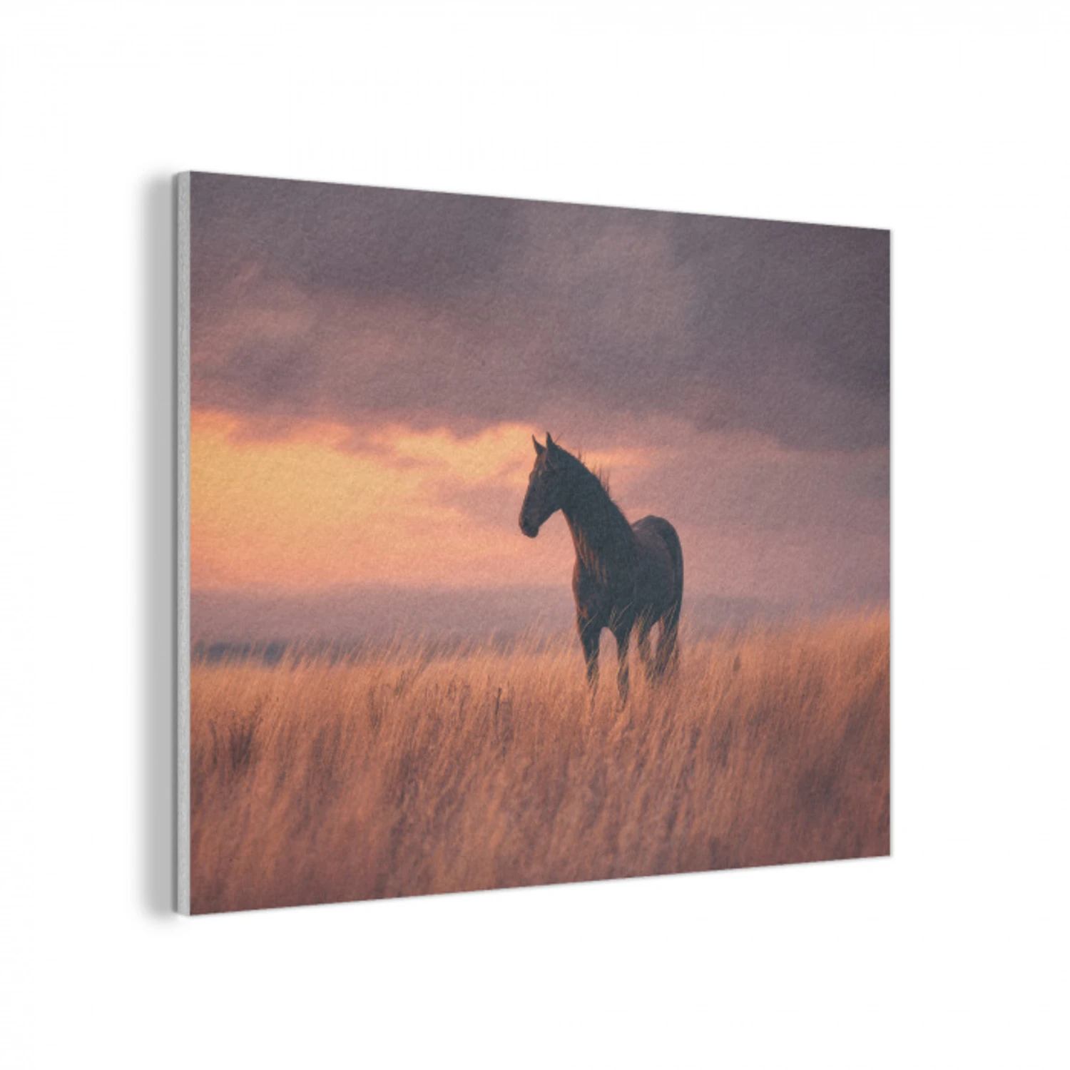 Paard - Wolken - Open veld PET vilt klein -3d