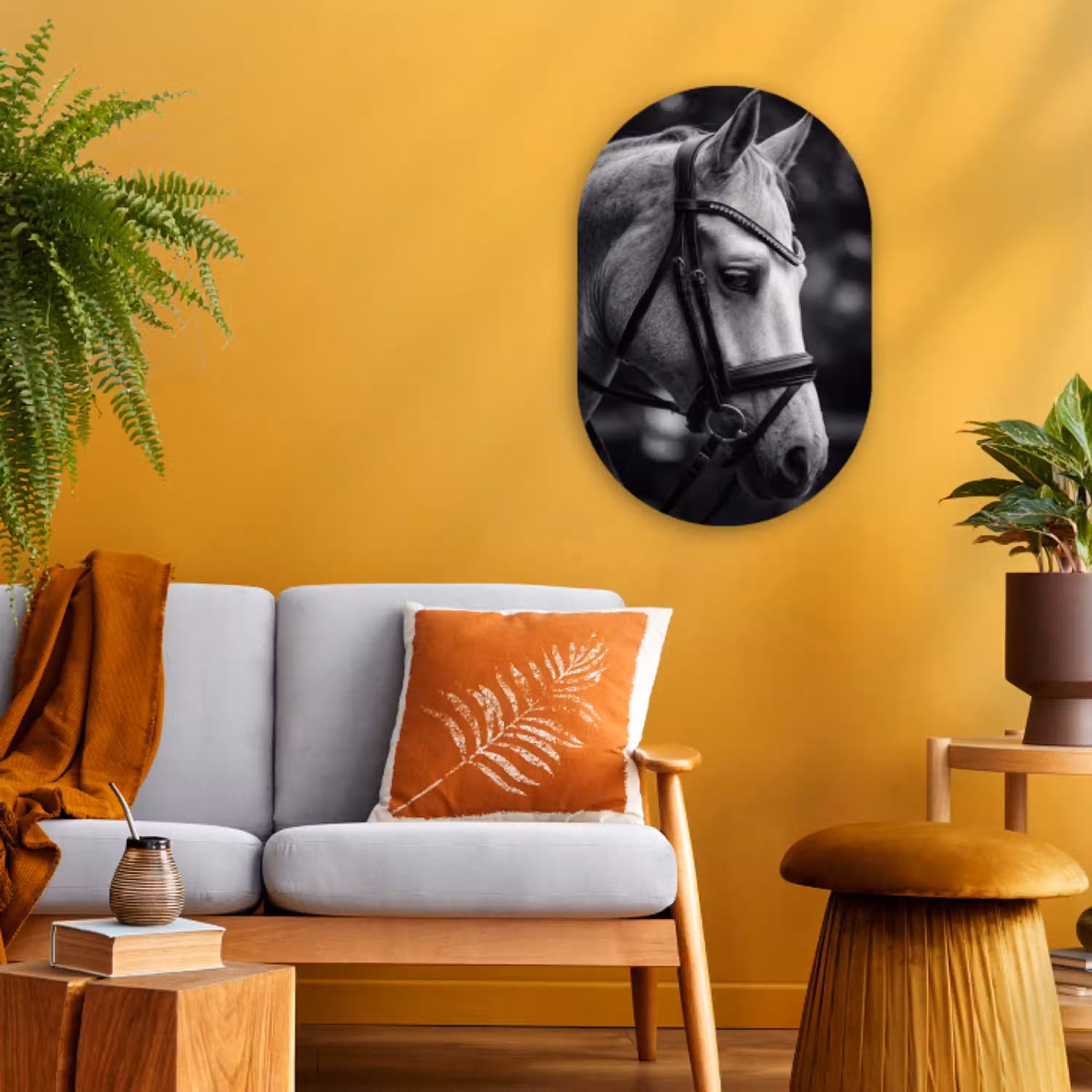 Paard - Schimmel - Portret Wandcirkel Ovaal Forex klein -sfeer4