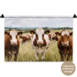 Koeien - Portret - Weide - Boerderij - Nieuwsgierig Wandkleed katoen klein -t3d_DE