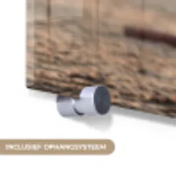 Harmonie - Ruiter - Zon plexiglas 5mm klein -zzsysteem_NL