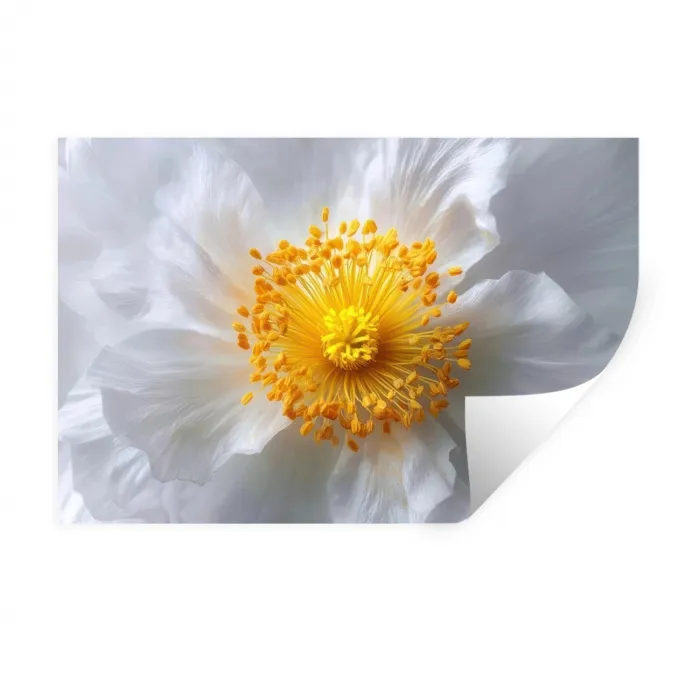 Wit - Bloem - Elegant Muursticker klein -3d