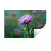 Aster - Paars - Bloem - Blaadjes Muursticker klein -3d
