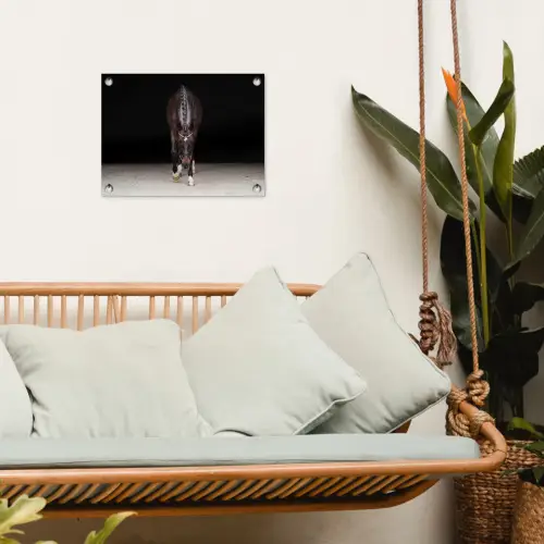 Paard - Modern - Portret tuinposter los doek klein -sfeer7