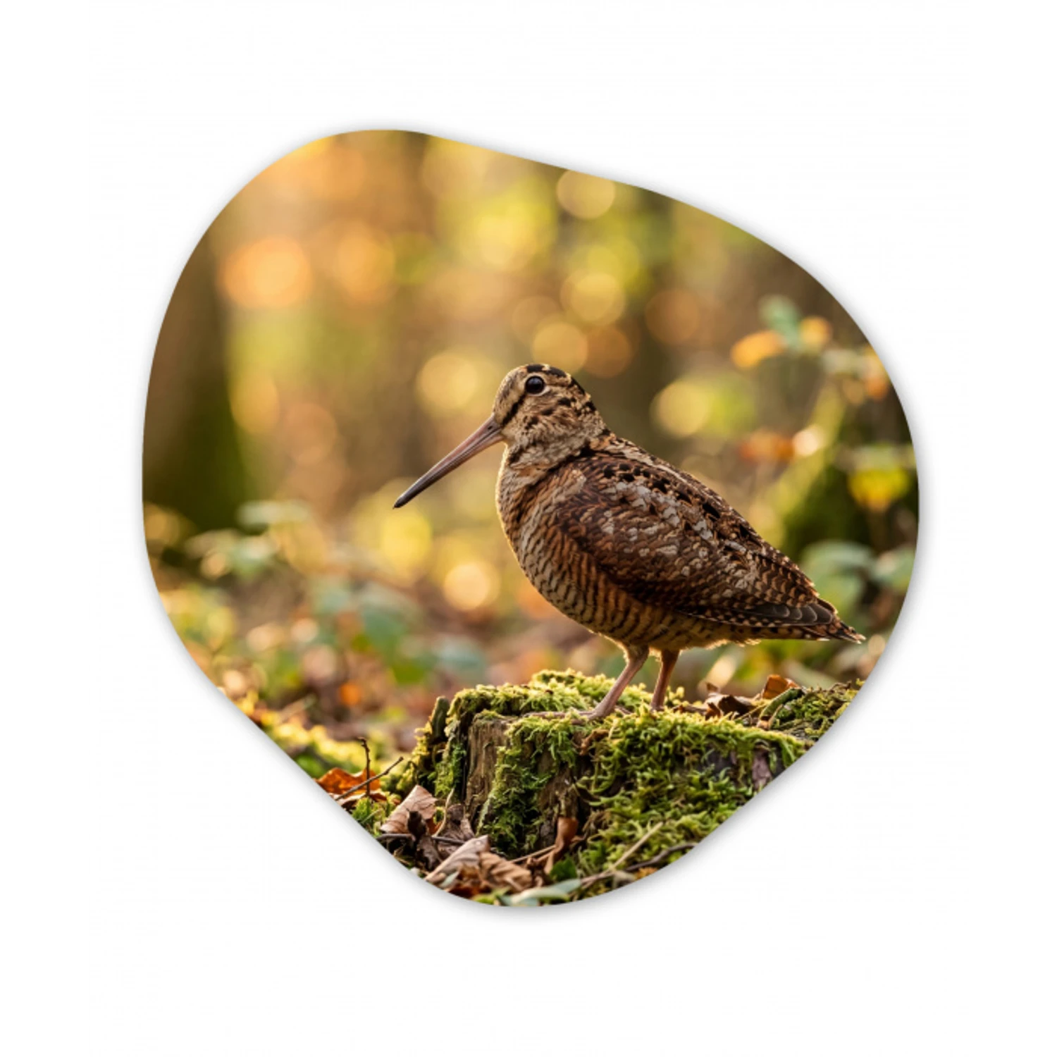 Houtsnip - Bos - Bladeren - Herfst - Gecamoufleerd Wandcirkel Organisch Aluminium middel -3d