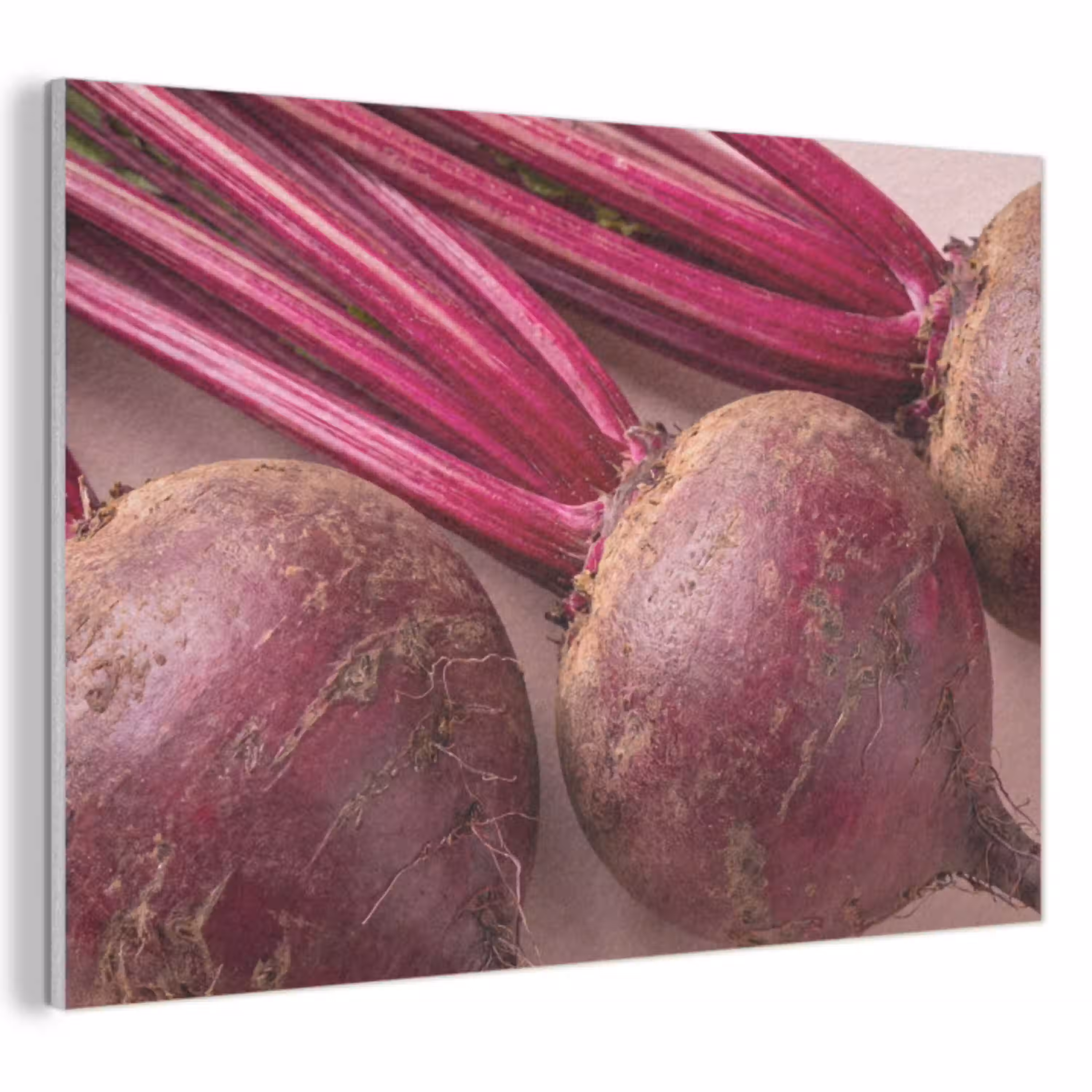 Groente - Rood - Vers PET vilt klein -3d