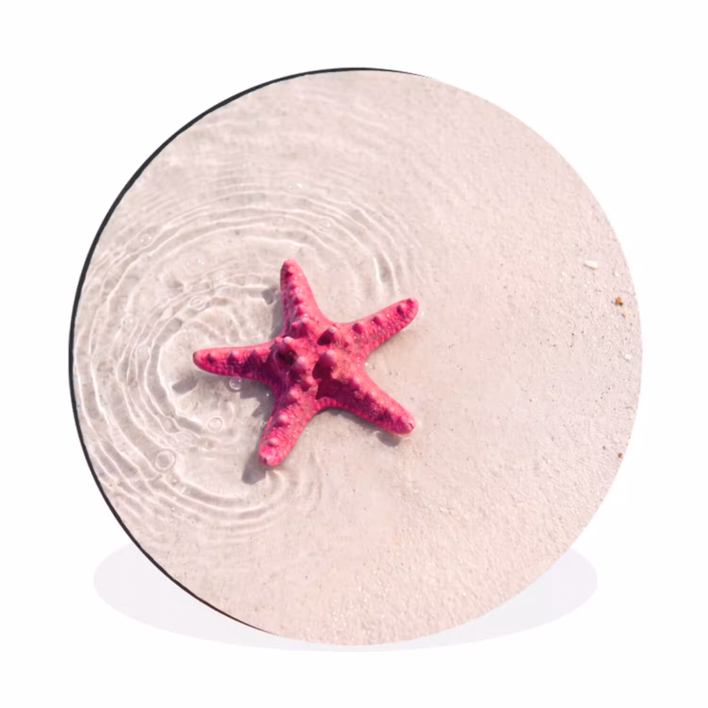 Zeeleven - Zeester - Strand - Roze - Water Wandcirkel aluminium klein -3d