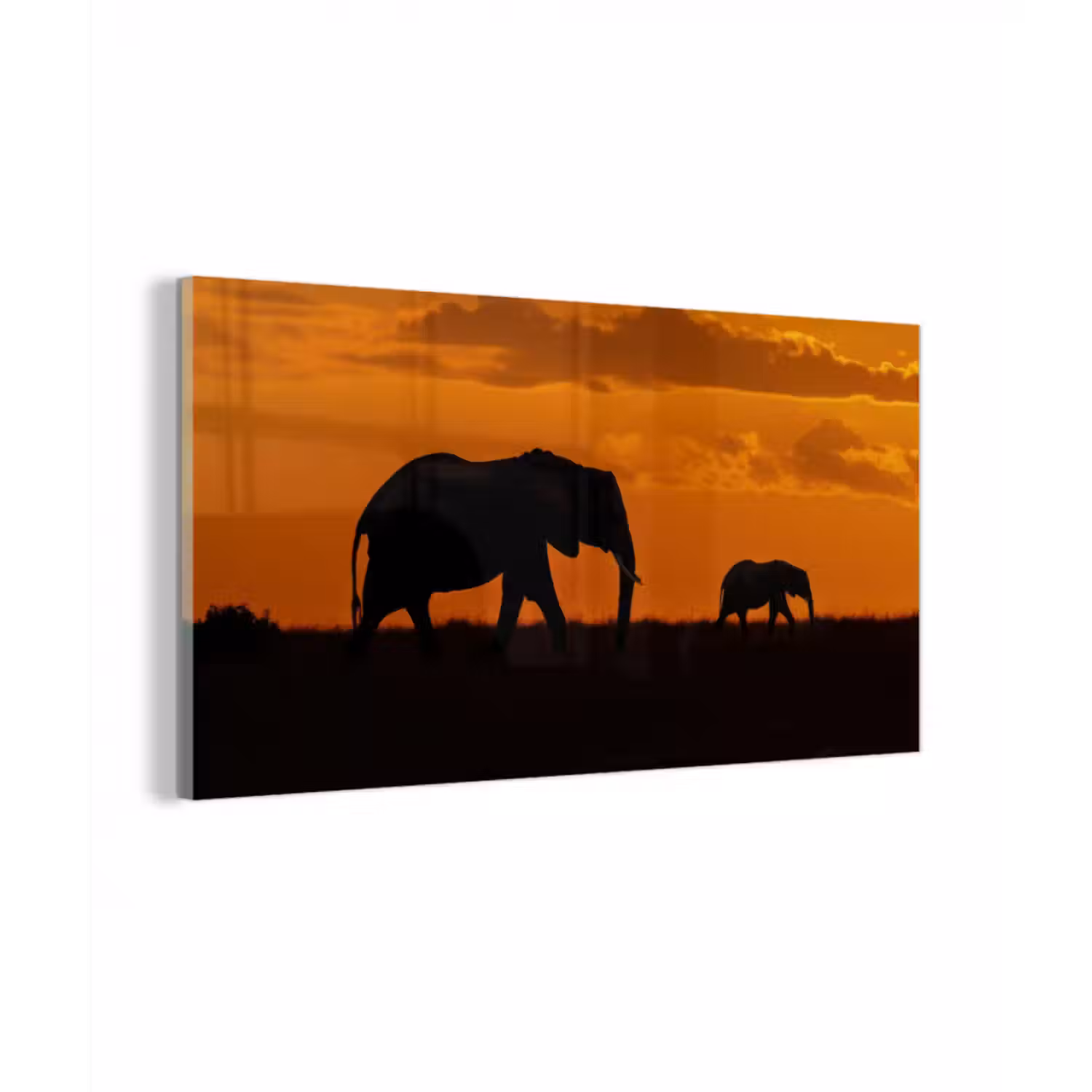 Glasbild - Elefanten - Savanne - Sonnenuntergang