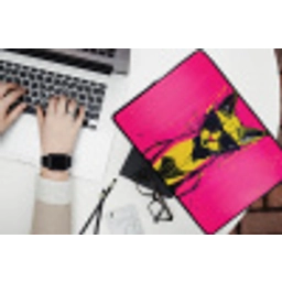 Kat - Art - Zonnebril - Roze laptophoes neopreen klein -bureau