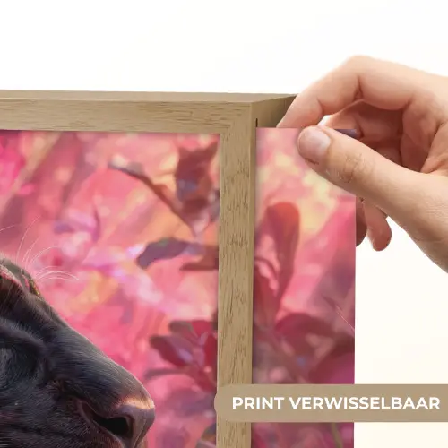 Luipaard - Bloemen - Roze Light Box met batterij (Wandlamp) middel -USP_websiteprintNL