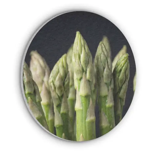 Asperges - Groen - Zwart Akoestische PET Vilt - Rond klein -3d