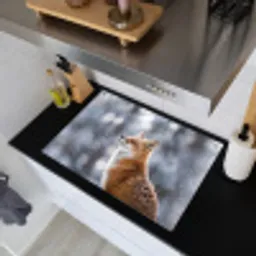 Vos - Sneeuwval - Portret - Winter - Sfeervol Inductie beschemer met haakjes klein -sfeer1
