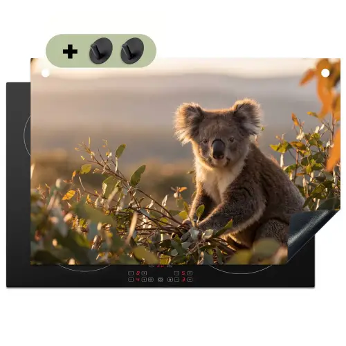 Koala - Bladeren - Ochtendlicht Inductie beschemer met haakjes klein -3d