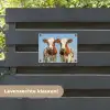 Twee kalveren in de weide tuinposter los doek klein -sfeer3