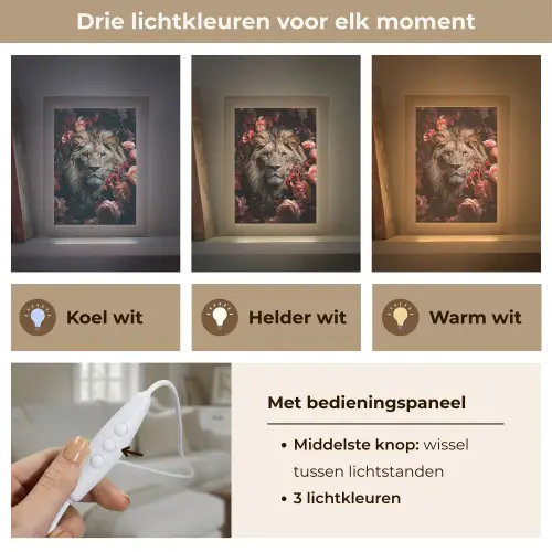 Leeuw - Dier - Natuur - Botanisch - Bloemen - Roze Light Box met kabel (Tafellamp) klein -USP_lichtkleurNL