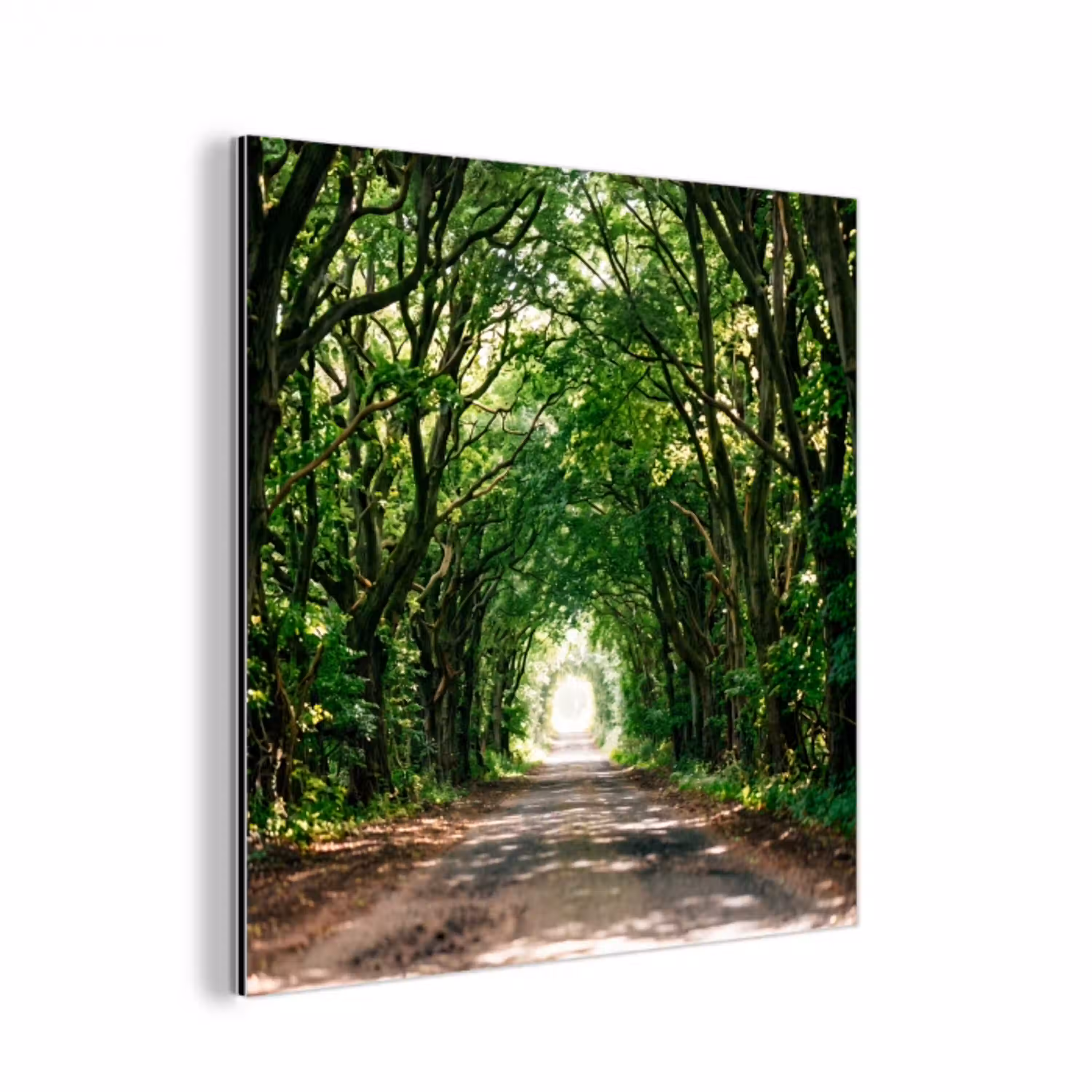 Weg - Bomen - Natuur - Groen aluminium wit klein -3d