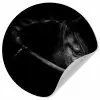 Paarden - Portret - Zwart - Dieren Wandcirkel behangsticker klein -3d