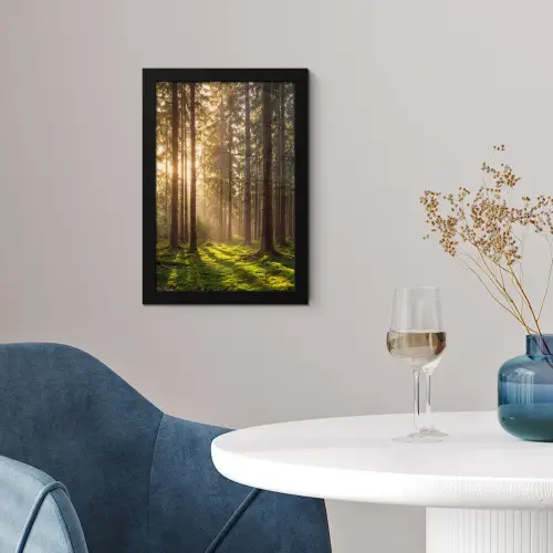 Bos - Gras - Zonlicht fotolijst zwart zonder passe partout klein -sfeer4