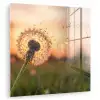 Paardenbloem - Zonsondergang - Veld plexiglas 5mm klein -zzzproduct_nieuw