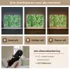 Kiwi - Groen - Pitten Light Box met batterij (Wandlamp) middel -USP_lichtkleurNL