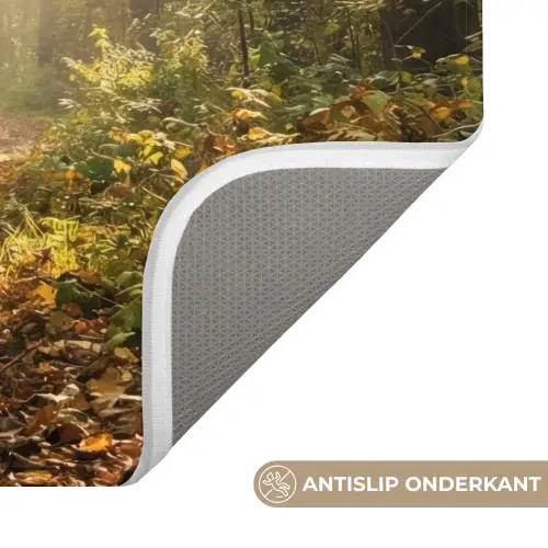 Zonlicht - Bospad - Bomen WCmat klein -USP_AntislipNL