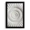 Schelp - Spiraal - Wit fotolijst zwart zonder passe partout klein -3d