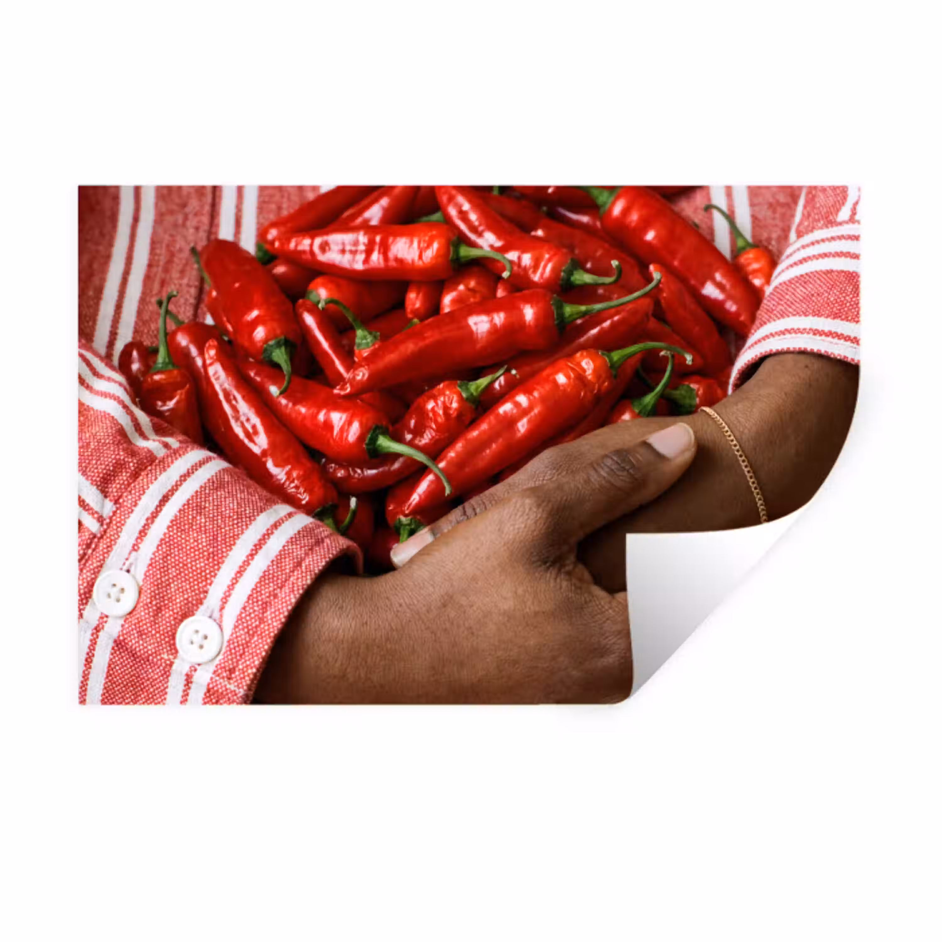 Chilipepers - Rood - Handen Muursticker klein -3d