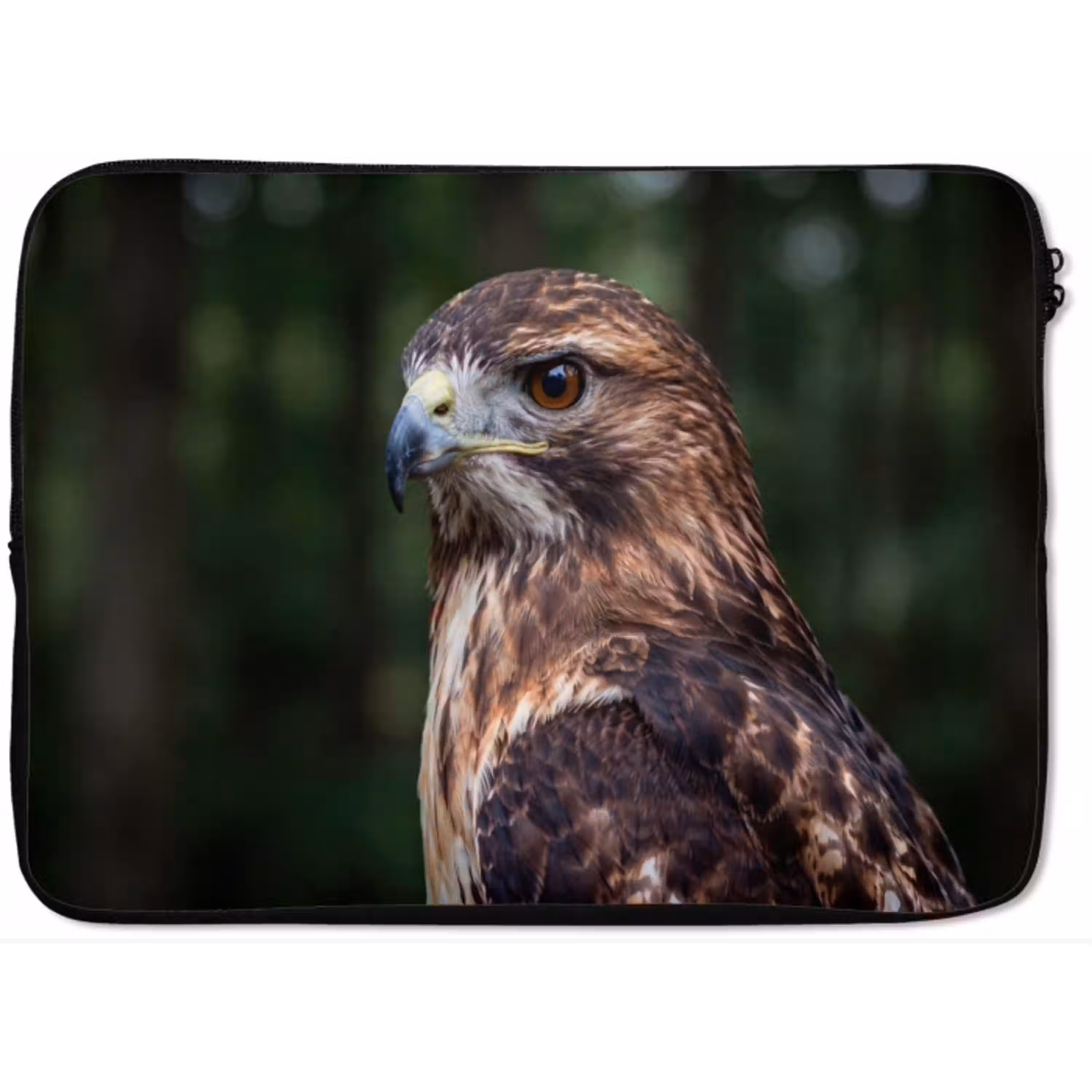 Buizerd - Roofvogel - Natuur - Bruin laptophoes neopreen klein -zkaufland3dotto