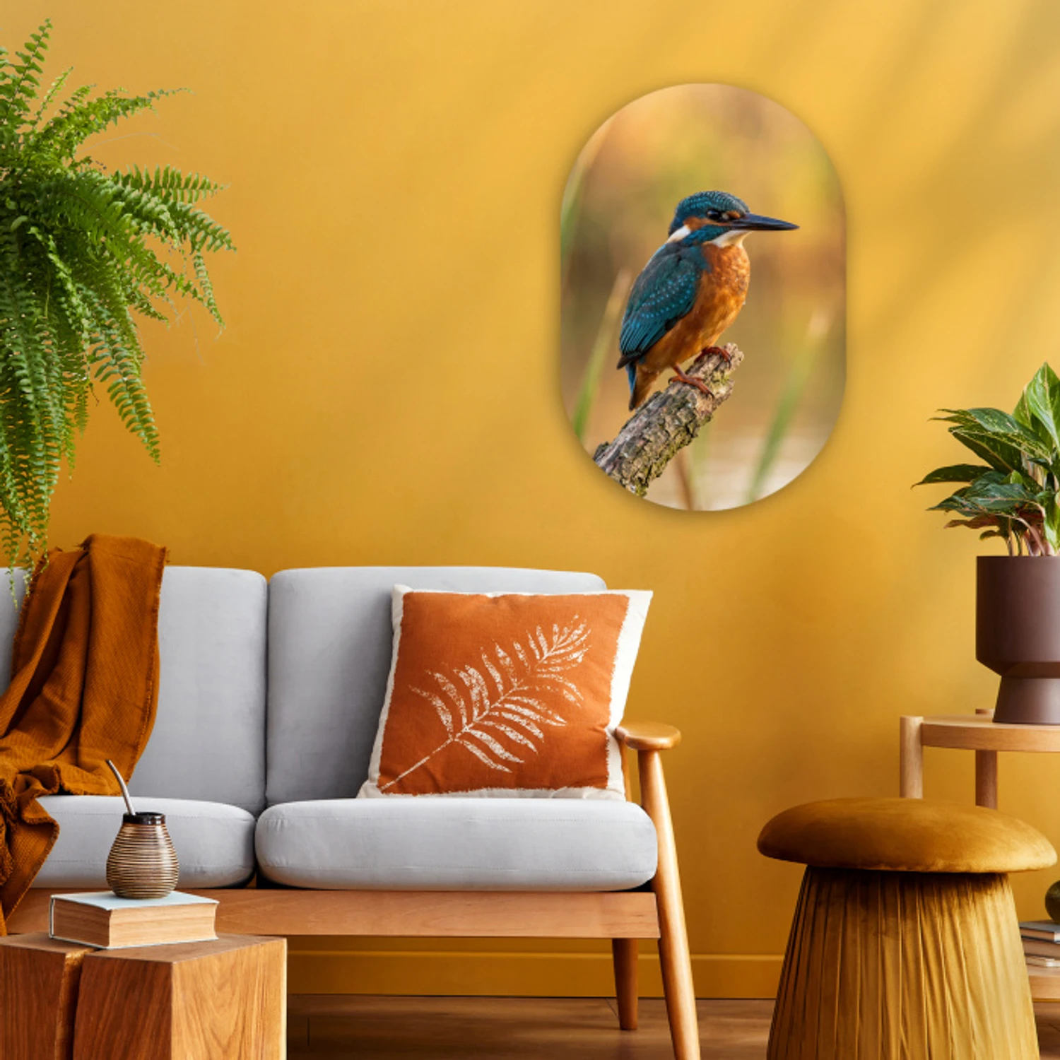 IJsvogel - Tak - Water - Kleurrijk - Levendig Wandcirkel Ovaal Forex klein -sfeer4