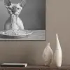 Sphynx - Kat - Dieren - Humor - Spaghetti - Zwart Wit PET vilt klein -sfeer6_closeup