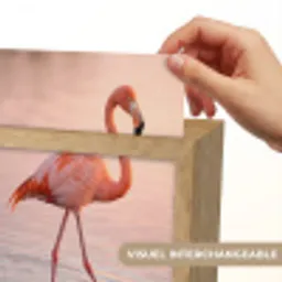 Flamingo - Water - Roze Light Box met kabel (Kinderlampje) klein -USP_websiteprintFR