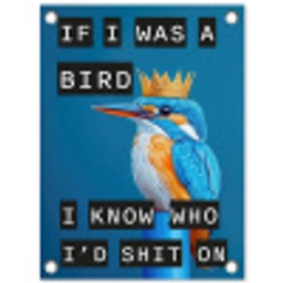 Vogel - Decoratie - Ijsvogel - Blauw tuinposter los doek klein -3d
