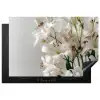 Lelies - Boekte - Wit - Meeldraden Inductie beschermer vinyl 3mm klein -3d