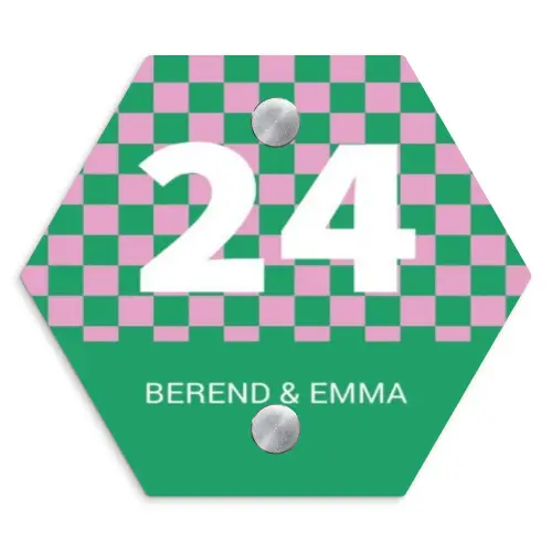 Groen - Roze - Blokjes - Klassiek Naambord Hexagon klein -3d