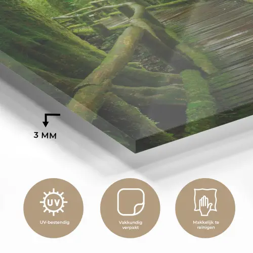 Jungle - Brug - Mos - Natuur - Tropisch plexiglas 5mm klein -sfeer2