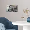 Zebra - Wilde dieren - Vlinder - Bloemen poster papier klein -sfeer3