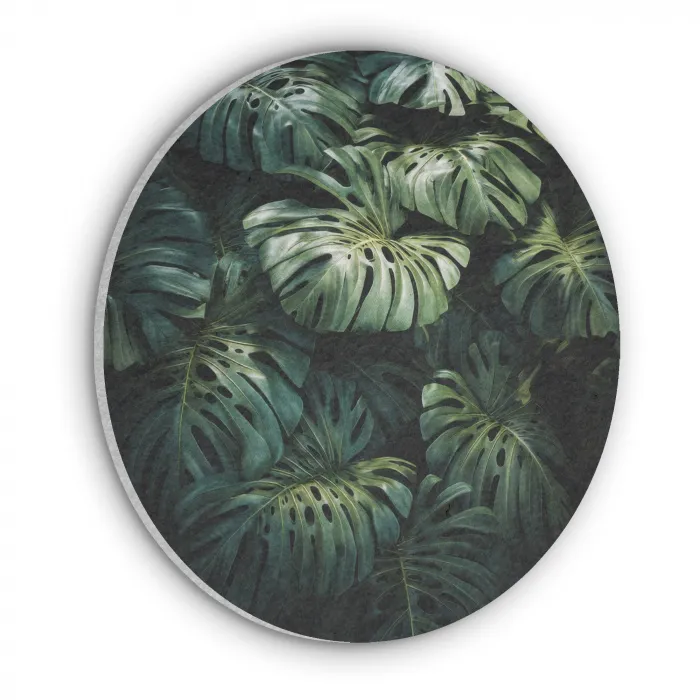 Plant - Monstera - Lichtinval Akoestische PET Vilt - Rond klein -3d