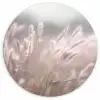 Graspluimen - Wind - Beige - Mistig Wandcirkel plexiglas klein -3d
