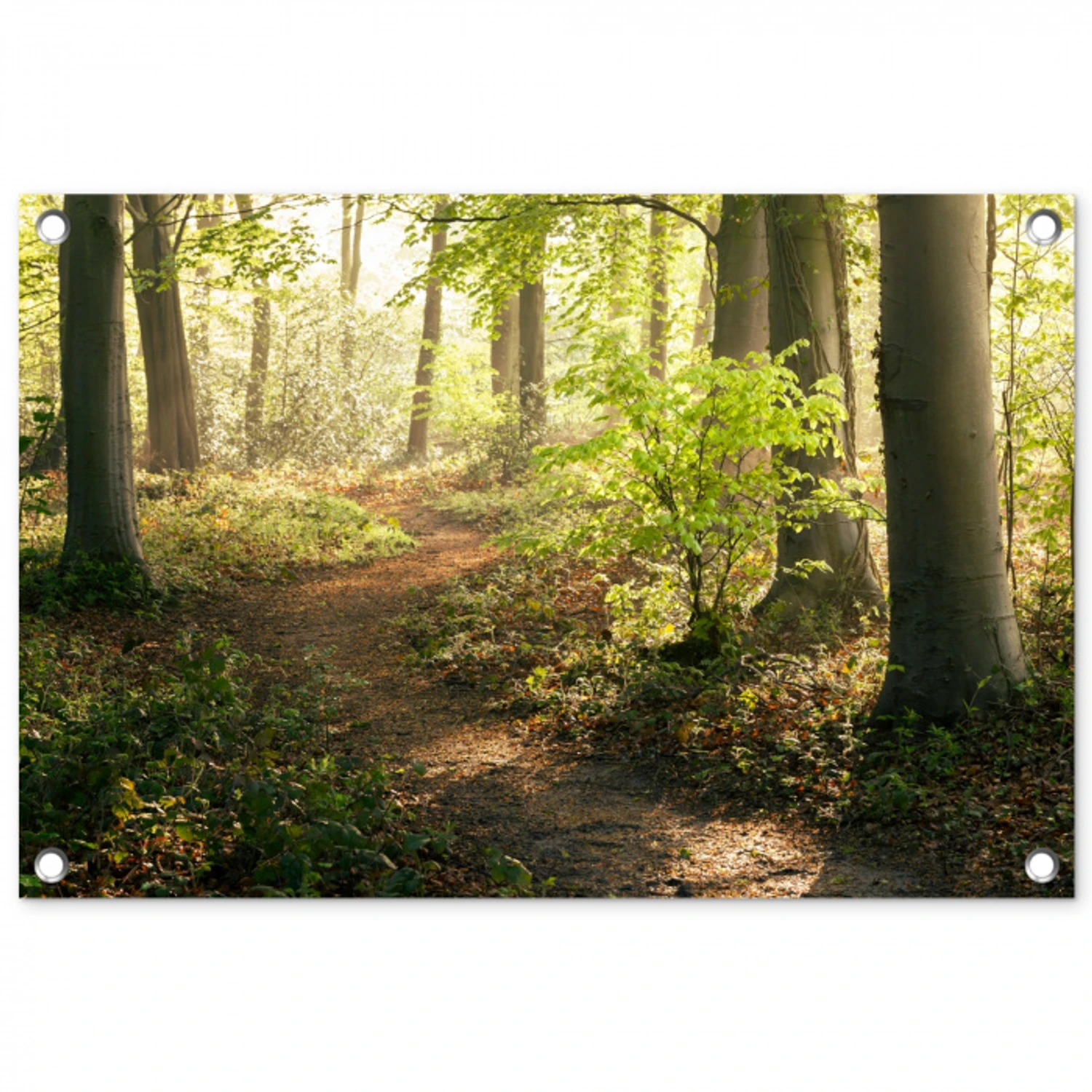 Bospad bij zonsopgang tuinposter los doek klein -3d