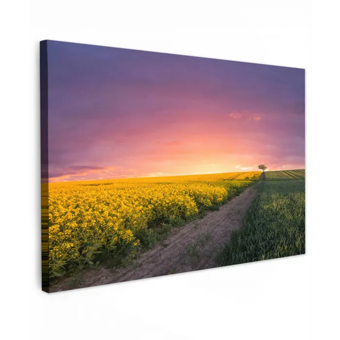Bloemen - Weg - Lucht - Geel - Paars - Zonsondergang - Natuur Tuinposter op houten frame 2 cm dik klein -3d