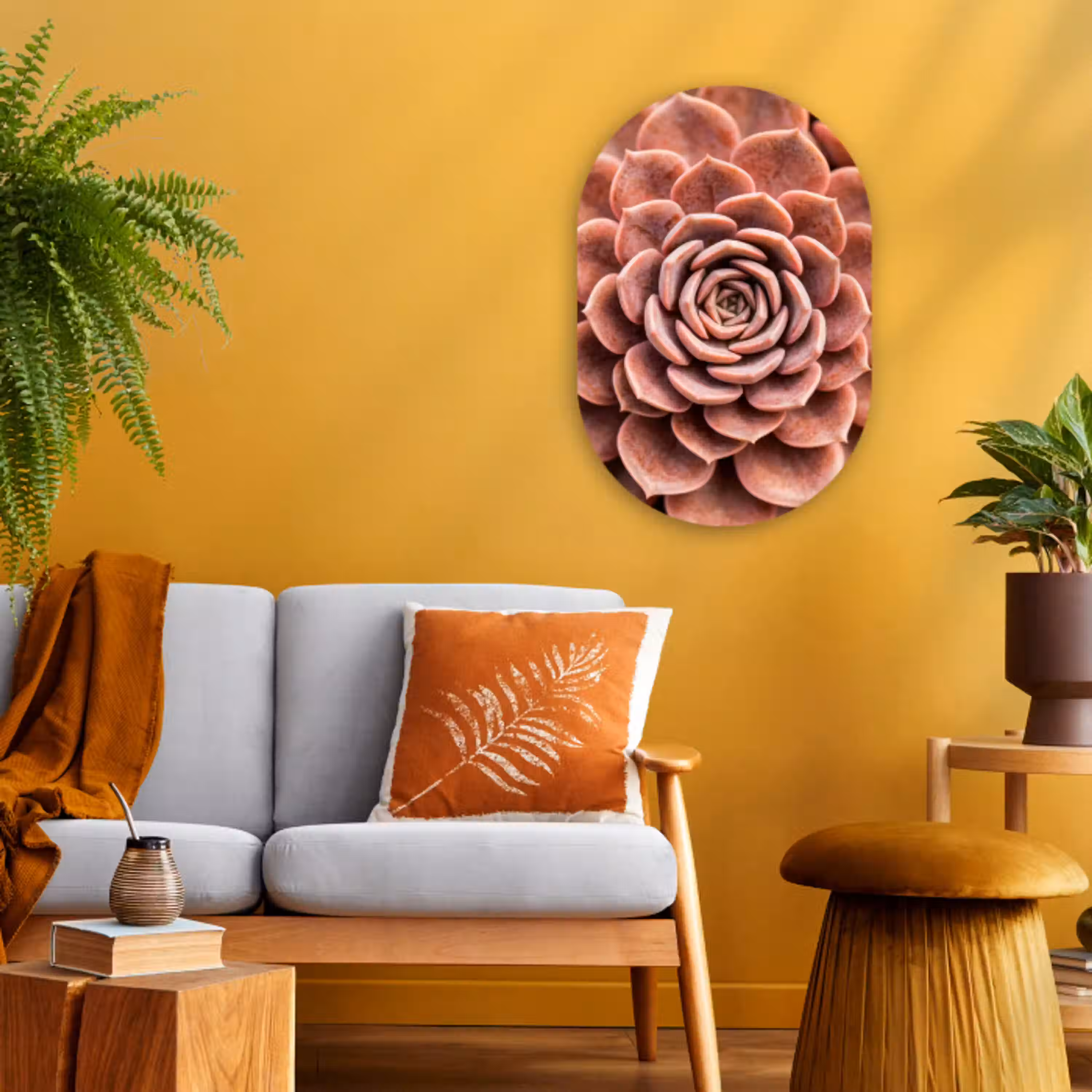 Vetplant - Organisch - Roze Wandcirkel Ovaal Forex klein -sfeer4