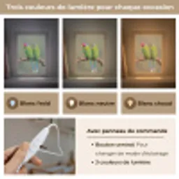 Papagaai - Tak - Natuur - Kleurrijk Light Box met kabel (Kinderlampje) klein -USP_lichtkleurFR