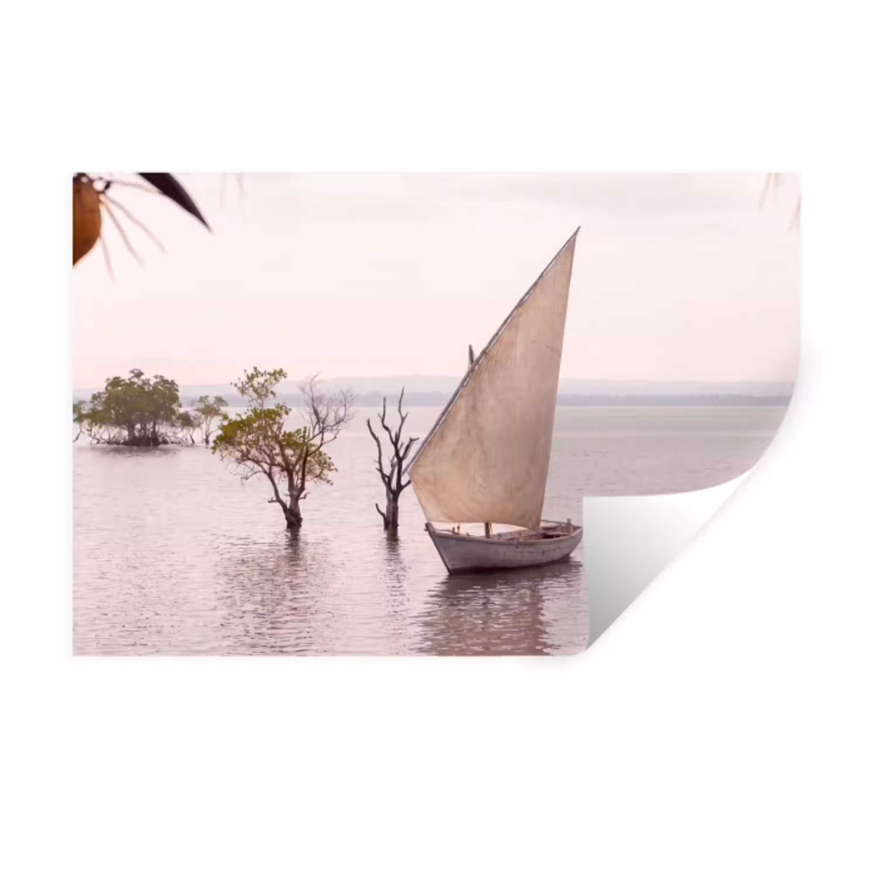 Boot - Zeil - Water - Tropisch - Natuur Muursticker klein -3d